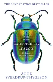 Omslag van Extraordinary Insects Weird. Wonderful. Indispensable. the Ones Who Run Our World