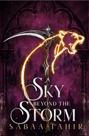 Omslag van A Sky Beyond the Storm