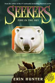 Omslag van Seekers #5: Fire in the Sky