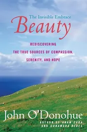 Omslag van Beauty The Invisible Embrace