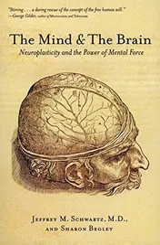 Omslag van The Mind and the Brain Neuroplasticity and the Power of Mental Force