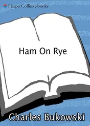 Omslag van Ham on Rye A Novel