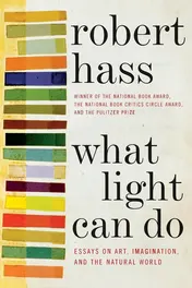 Omslag van What Light Can Do Essays on Art, Imagination, and the Natural World