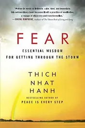 Omslag van Fear Essential Wisdom for Getting Through the Storm