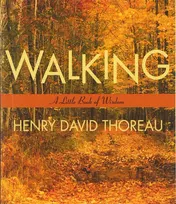 Omslag van Walking