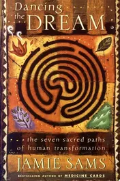 Omslag van Dancing the Dream The Seven Sacred Paths Of Human Transformation