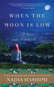 Omslag van When the Moon Is Low A Novel