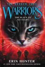 Omslag van Warriors: the Broken Code #5: the Place of No Stars