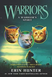 Omslag van A Warrior's Spirit