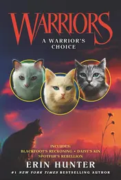 Omslag van Warriors A Warrior's Choice