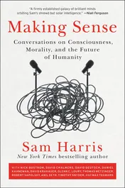Omslag van Making Sense Conversations on Consciousness, Morality, and the Future of Humanity