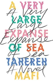 Omslag van A Very Large Expanse of Sea