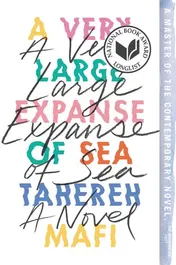 Omslag van A Very Large Expanse of Sea