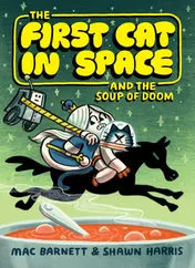 Omslag van The First Cat in Space and the Soup of Doom A Graphic Novel