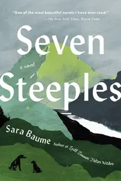 Omslag van Seven Steeples