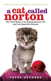 Omslag van A Cat Called Norton The True Story of an Extraordinary Cat and His Imperfect Human