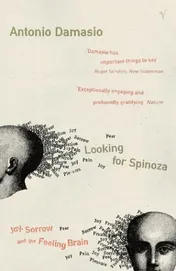 Omslag van Looking for Spinoza Joy, Sorrow and the Feeling Brain