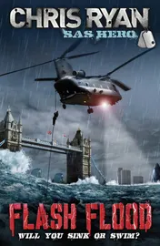 Omslag van Flash Flood