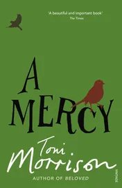 Omslag van A Mercy