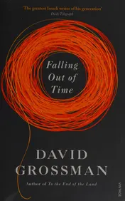 Omslag van Falling Out of Time