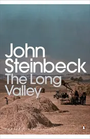 Omslag van The Long Valley