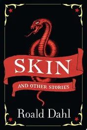 Omslag van Skin and Other Stories
