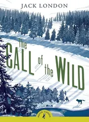 Omslag van The Call of the Wild