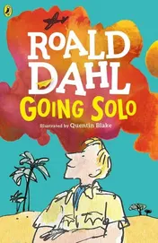 Omslag van Going Solo