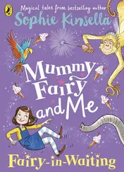 Omslag van Mummy Fairy and Me Fairy-in-Waiting