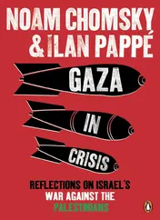 Omslag van Gaza in Crisis Reflections on Israel's War Against the Palestinians