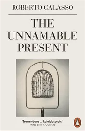 Omslag van The Unnamable Present