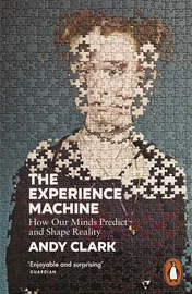 Omslag van The Experience Machine How Our Minds Predict and Shape Reality
