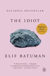 Omslag van The Idiot A Novel