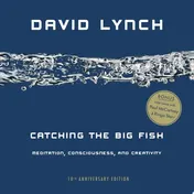 Omslag van Catching the Big Fish Meditation, Consciousness, and Creativity: 10th Anniversary Edition
