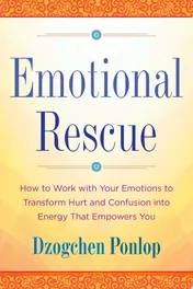 Omslag van Emotional Rescue How to Work with Your Emotions to Transform Hurt and Confusion into Energy That Empowers You