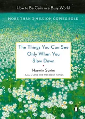 Omslag van The Things You Can See Only When You Slow Down How to Be Calm in a Busy World