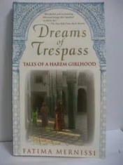 Omslag van Dreams Of Trespass Tales Of A Harem Girlhood