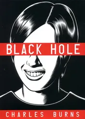 Omslag van Black Hole