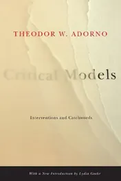 Omslag van Critical Models Interventions and Catchwords
