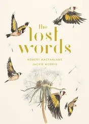 Omslag van The Lost Words - A Spell Book