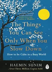 Omslag van The Things You Can See Only When You Slow Down How to Be Calm in a Busy World