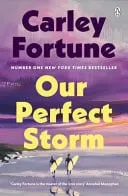 Omslag van Our Perfect Storm