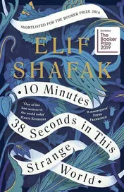 Omslag van 10 Minutes 38 Seconds in this Strange World
