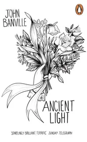 Omslag van Ancient Light