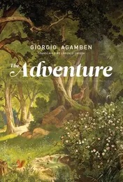 Omslag van The Adventure