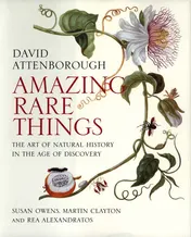 Omslag van Amazing Rare Things The Art of Natural History in the Age of Discovery