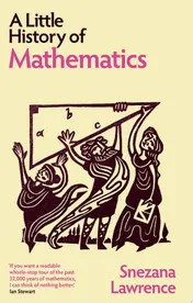 Omslag van A Little History of Mathematics