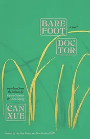 Omslag van Barefoot Doctor A Novel