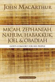 Omslag van Micah, Zephaniah, Nahum, Habakkuk, Joel, and Obadiah God's Comfort for His People