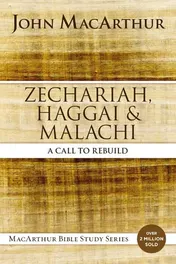 Omslag van Zechariah, Haggai, and Malachi A Call to Rebuild